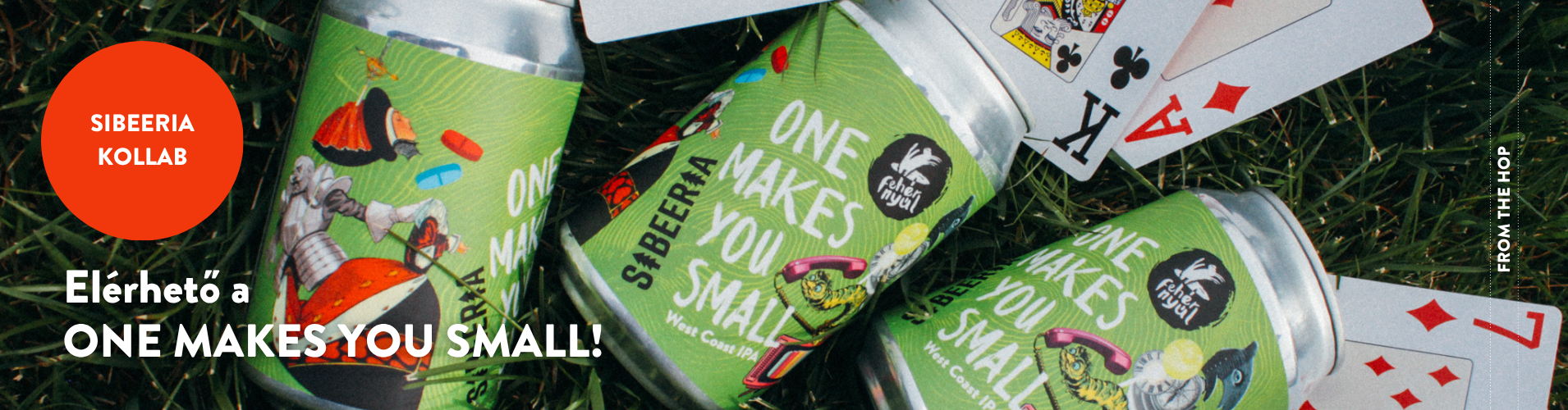 A Fehér Nyúl új söre, One Makes You Small, Sibeeria Brewery kollab, West Coast IPA