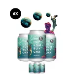 Hop Kombucha 6-os pakk