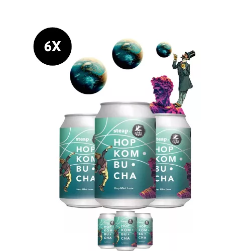 Hop Kombucha 6-os pakk