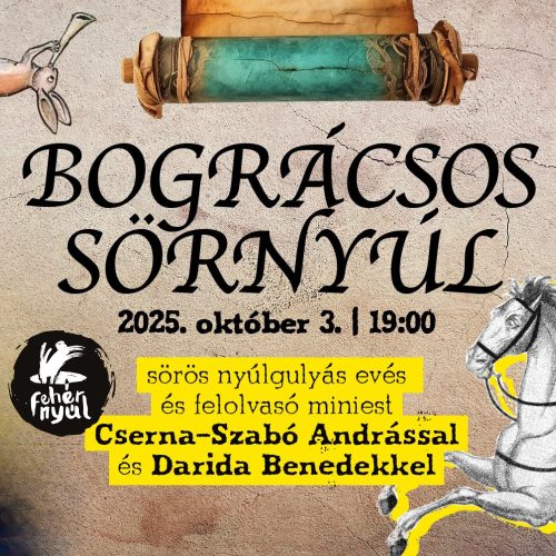Bográcsos Sörnyúl - 2025.10.03.